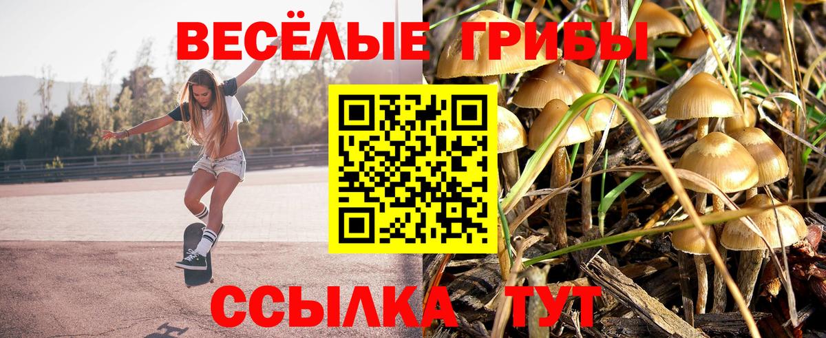 Галлюциногенные грибы Magic Shrooms Саки