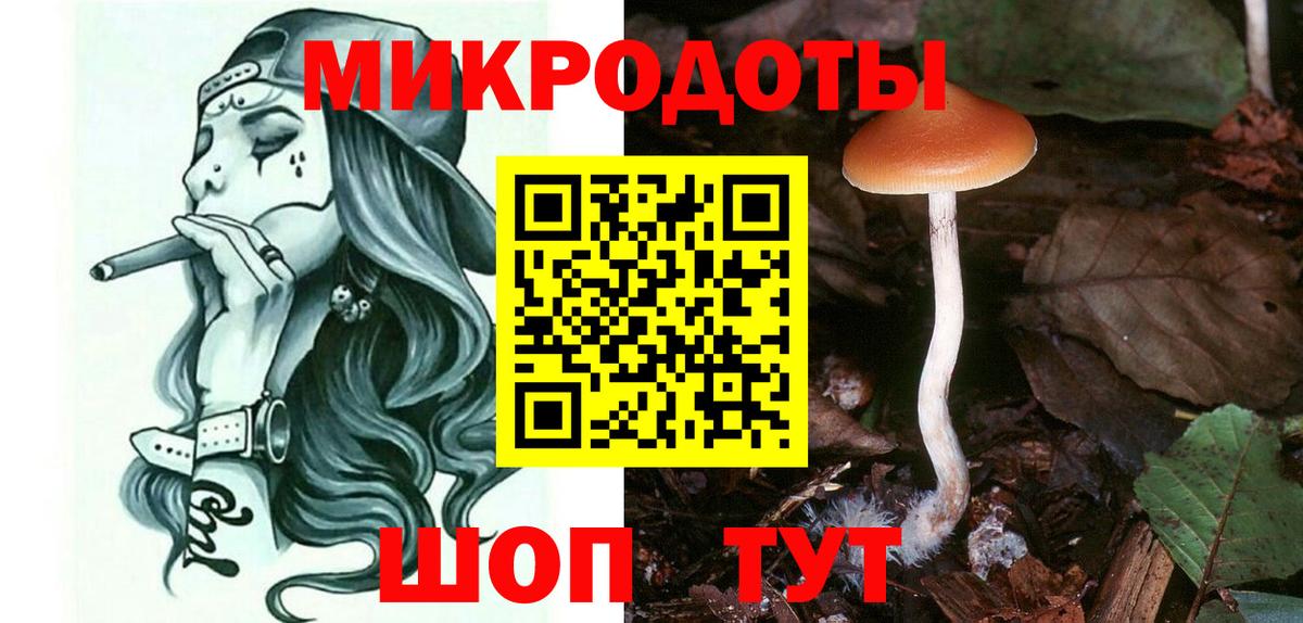 Псилоцибиновые грибы MAGIC MUSHROOMS  сколько стоит  Вход с VPN  Саки  Галлюциногенные грибы Psilocybine cubensis 